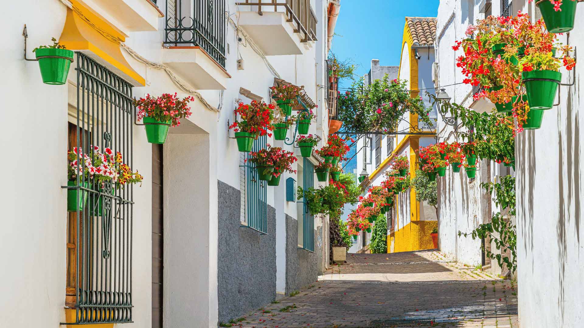 Maratón Estepona 3