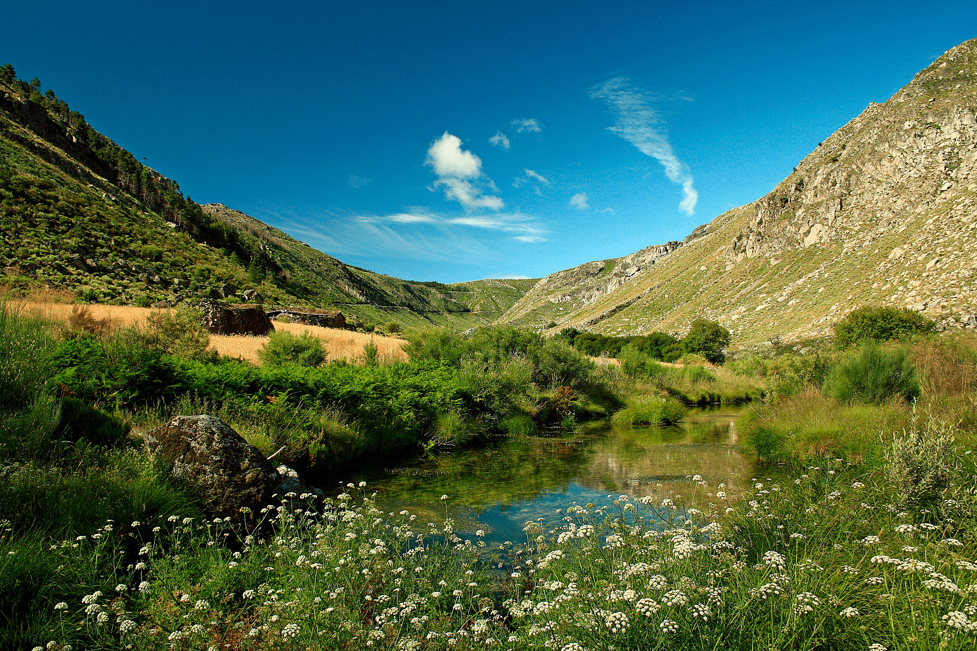 Estrela Road Challenge 3